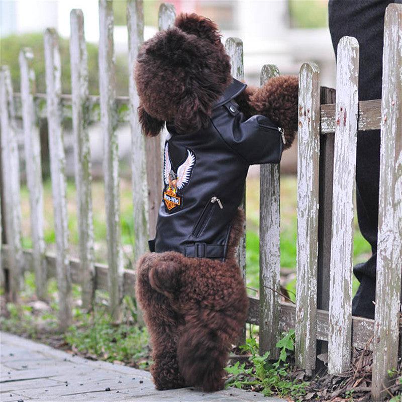 Luxury Leather Dog Coat - Chic And Stylish Pet Outerwear