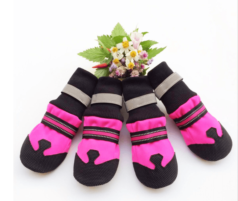 Ultimate Paw Protectors: Waterproof Dog Boots For Active Pups