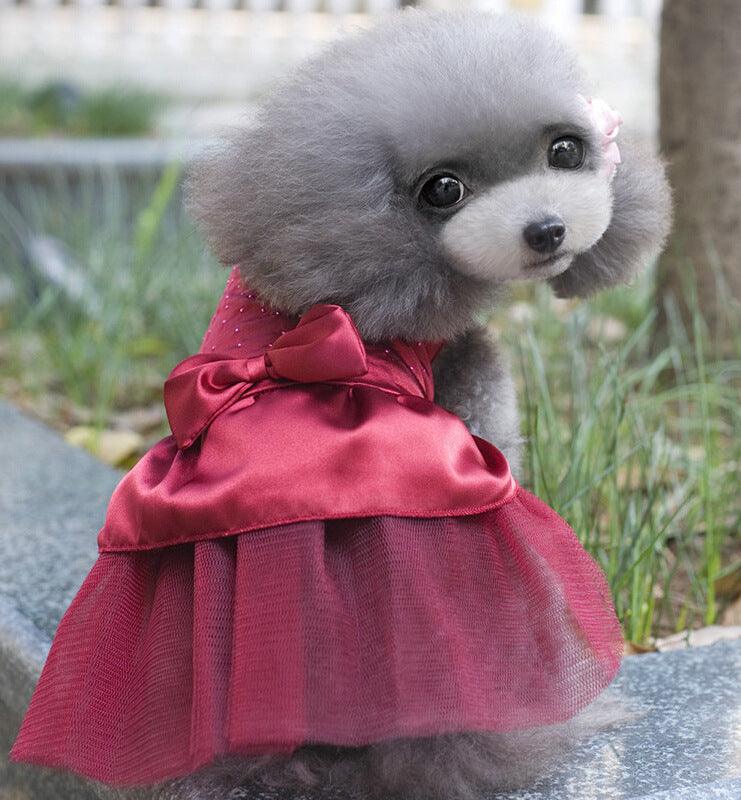 Pawsome Pup Wedding Gown