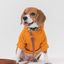 Tribeca adjustable velcro raincoat - Egg Yolk