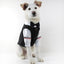 Pet Wedding Ensemble: Elegant Coral Fleece Suit For Your Furry Friend
