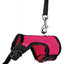 Pet Pawsome Nylon Leash: The Perfect Traction Belt For Small Fur Babies!