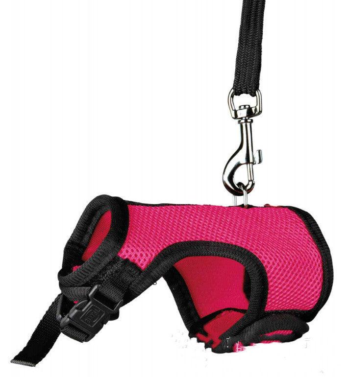 Pet Pawsome Nylon Leash: The Perfect Traction Belt For Small Fur Babies!