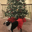 Red Christmas Dog Tutu Skirt (XS)