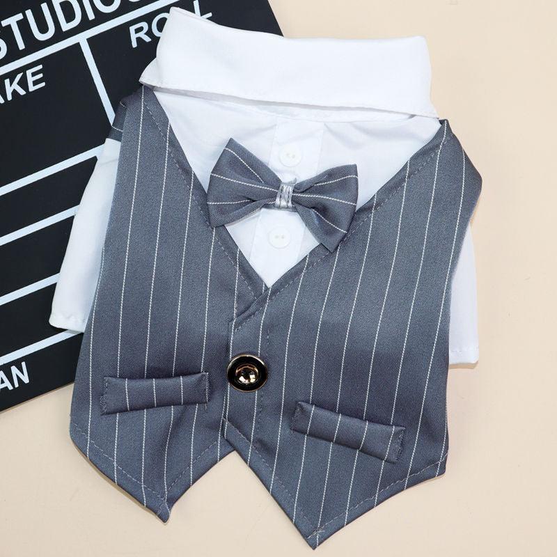 Petite Pup Couture: Stylish Suit For Small Dogs