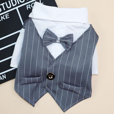 Petite Pup Couture: Stylish Suit For Small Dogs