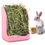 Springtime Munchies: Anti-Bite Rabbit Grass Feeder