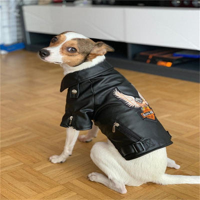 Luxury Leather Dog Coat - Chic And Stylish Pet Outerwear