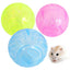 Hamster Haven Rolling Exercise Ball