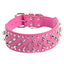 Rugged Rivet-Embellished Collar For Large Dogs