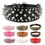Rugged Rivet-Embellished Collar For Large Dogs