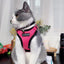 Mr. Peanut's PurrTrek Reflective Cat Harness with Matching Leash