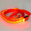 Glowing Pet Leash - Illuminated Led Dog Leash