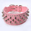 Rugged Rivet-Embellished Collar For Large Dogs
