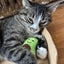 Smokey's Stash Catnip Toys-Avocado, Banana & Sisal Rope Toys