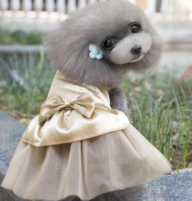 Pawsome Pup Wedding Gown