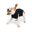 Suitical Dog Recovery Suits