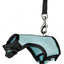 Pet Pawsome Nylon Leash: The Perfect Traction Belt For Small Fur Babies!