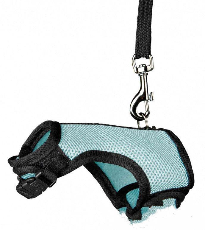 Pet Pawsome Nylon Leash: The Perfect Traction Belt For Small Fur Babies!