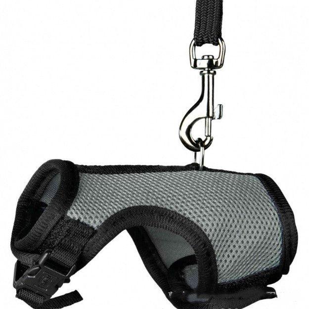 Pet Pawsome Nylon Leash: The Perfect Traction Belt For Small Fur Babies!
