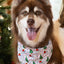 Howliday Cheer Dog Bandana