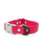Red Mountain Syrah Waterproof Dog Collar