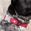 Red Mountain Syrah Waterproof Dog Collar