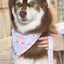 Pink and Blue Tribal Dog Bandana & Matching Keychain