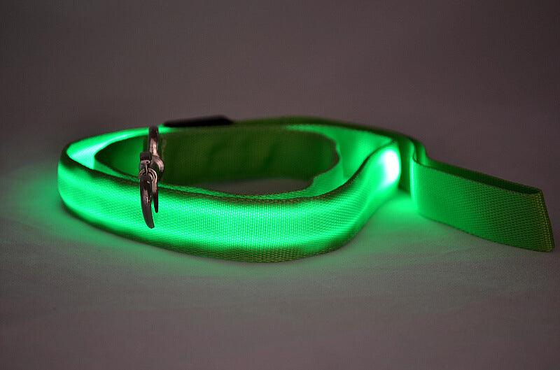Glowing Pet Leash - Illuminated Led Dog Leash