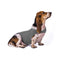 Serenity Pet Vest: Calming Comfort For Cats And Dogs