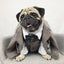 Pet Wedding Ensemble: Elegant Coral Fleece Suit For Your Furry Friend