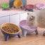 Stylish Paws Nordic Color Pet Feeding Bowl With Stand