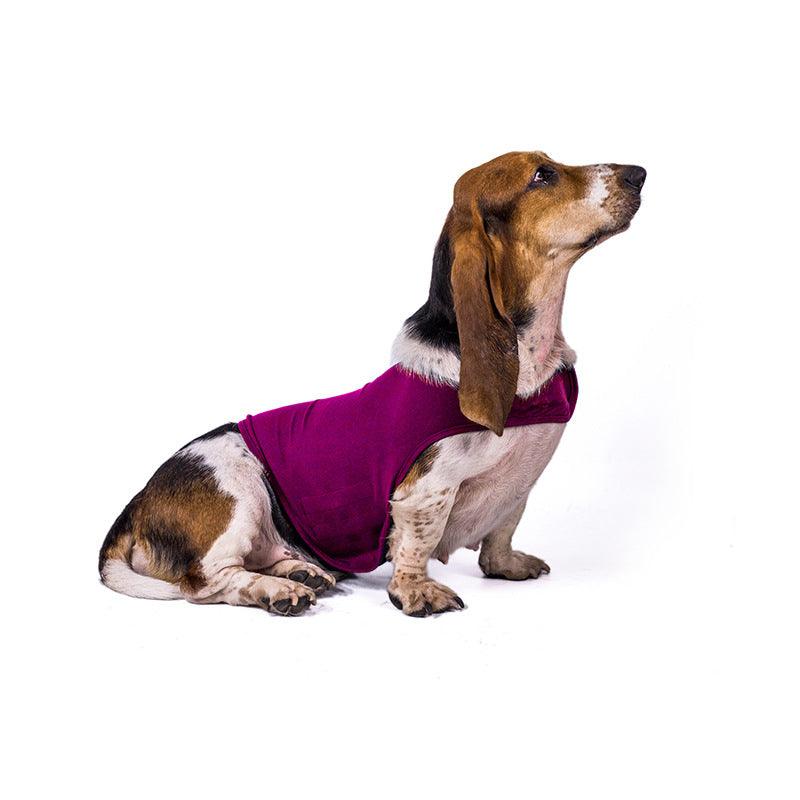 Serenity Pet Vest: Calming Comfort For Cats And Dogs