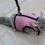 Pet Pawsome Nylon Leash: The Perfect Traction Belt For Small Fur Babies!