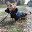 Luxury Leather Dog Coat - Chic And Stylish Pet Outerwear