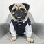 Pet Wedding Ensemble: Elegant Coral Fleece Suit For Your Furry Friend