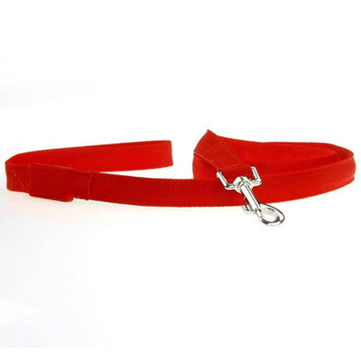 Glowing Pet Leash - Illuminated Led Dog Leash