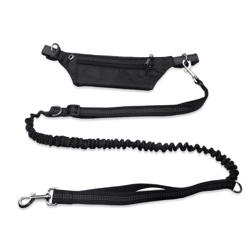 Hands-Free Dog Leash: The Ultimate Freedom For Active Dog Owners