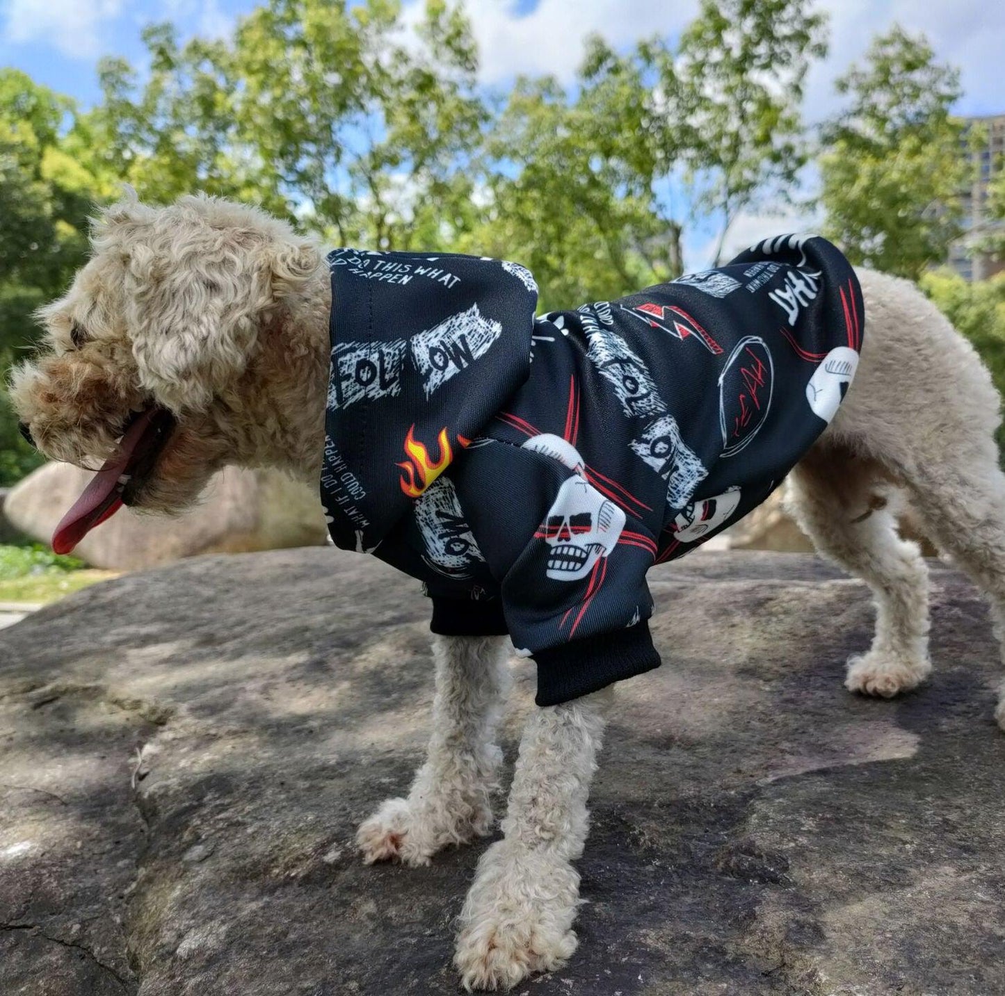 Skull Camo Pet Hoodie: Stylish Two-Legged Outfit For Dogs