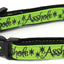 Asshole Breakaway Cat Collar