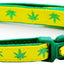 Marijuana Leaves Breakaway Cat Collar