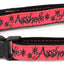 Asshole Breakaway Cat Collar