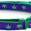 Marijuana Leaves Breakaway Cat Collar