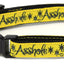 Asshole Breakaway Cat Collar