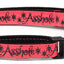 Asshole Breakaway Cat Collar