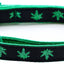Marijuana Leaves Breakaway Cat Collar
