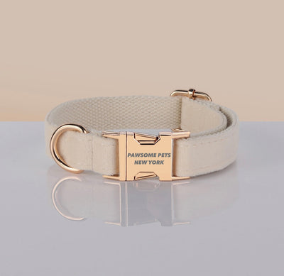 PAWSOME DOG COLLAR - #24-0