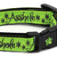 Asshole Breakaway Cat Collar