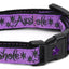 Asshole Breakaway Cat Collar