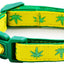 Marijuana Leaves Breakaway Cat Collar